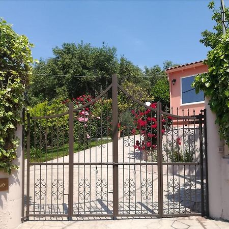 Ey House Villa Halikounas Bagian luar foto